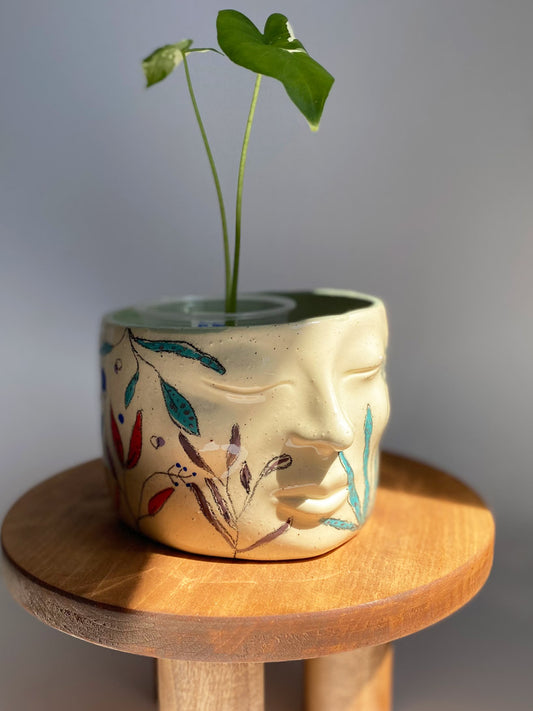 Alocasia Macrorrhiza Variegated, Rare tropical plant in Canada