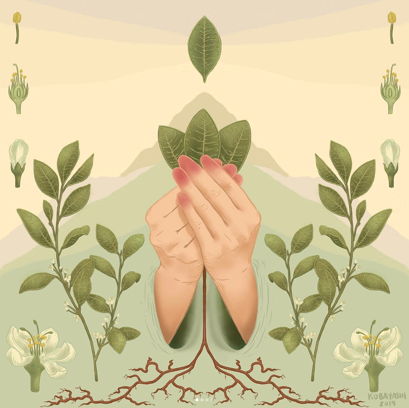 Offering Botanical Print