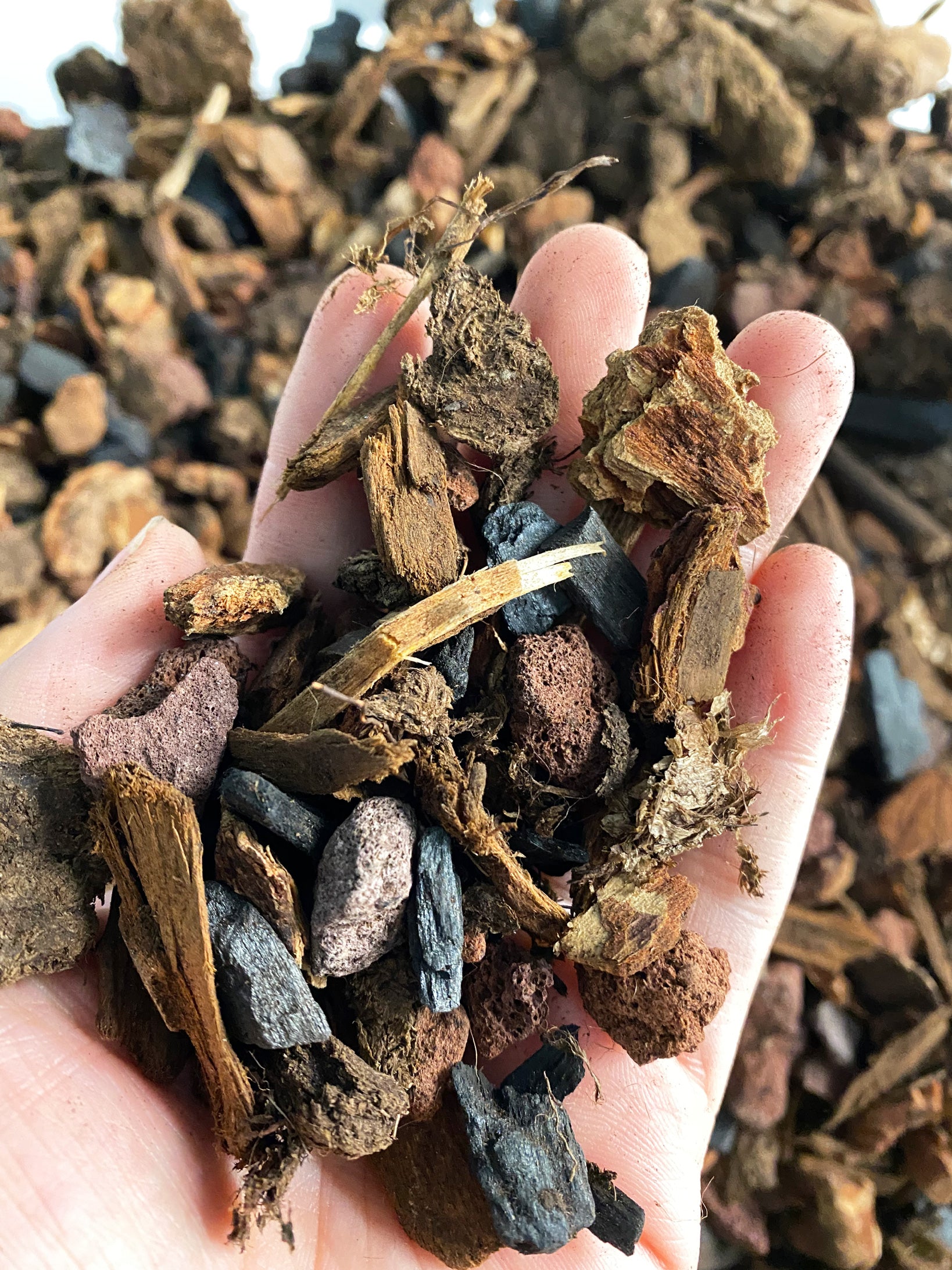 Lambert Orchid Mix Potting Soil in Toronto. Orchid potting mix soil for aroids in Toronto.