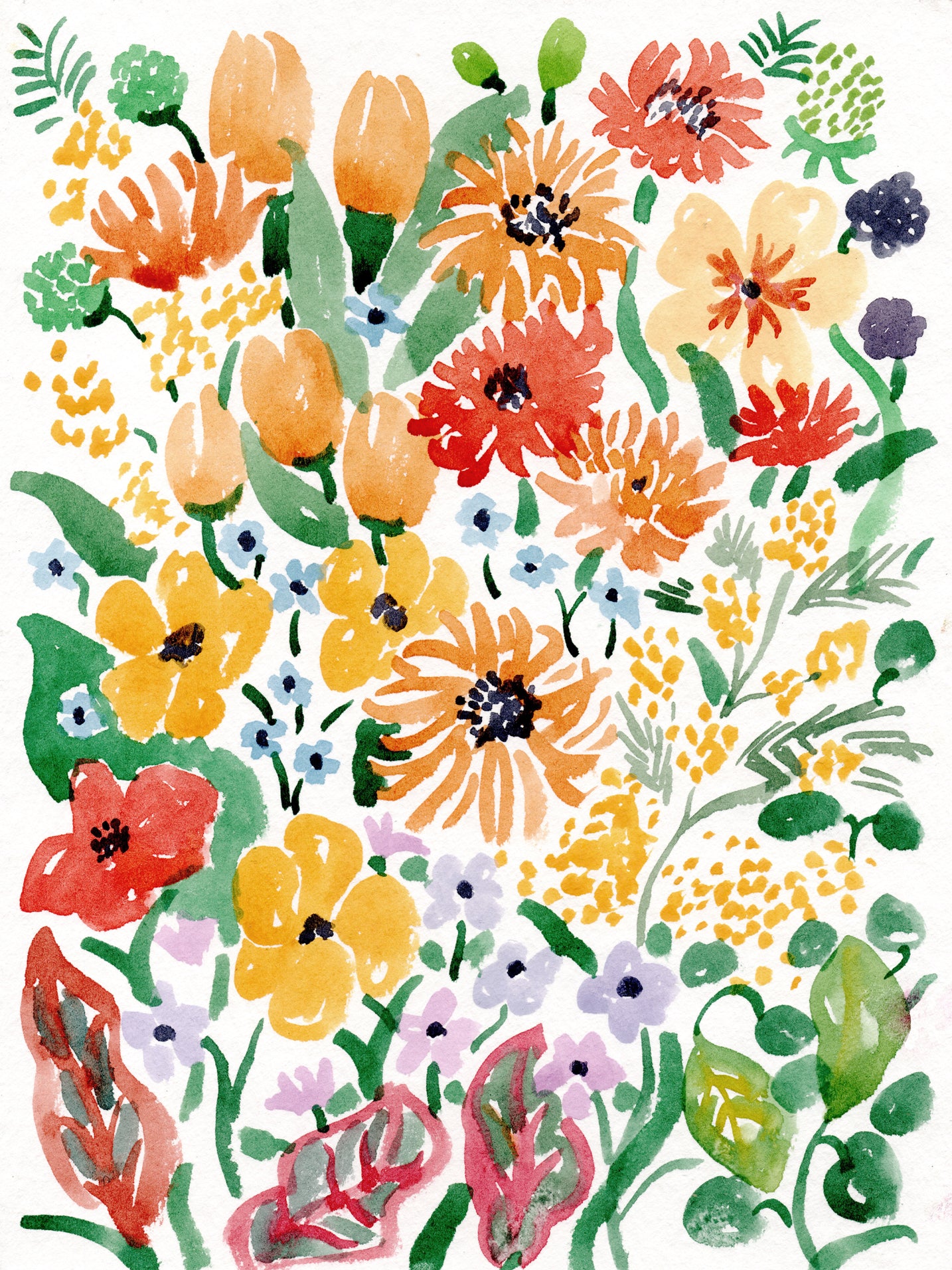 Floral or Botanical T shirt for woman in Canada. Women's short sleeve 100% cotton shirt featuring colourful flowers, designed by Latino artist Ana Paula Machuca. Made in Peru.